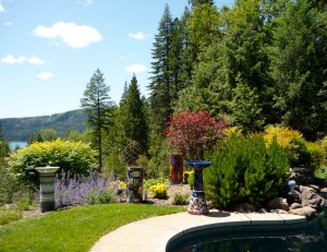 Green Mosaics in their habitat