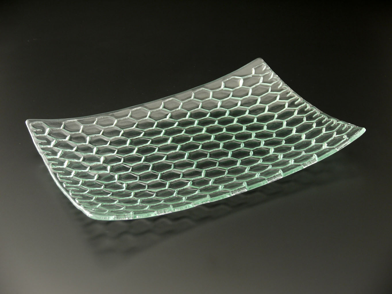 RectanglePlatterClearChichenWireRecycledglassworks