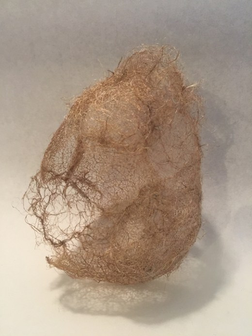 Dale Eastman website photo2